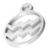 Aquarius Charm