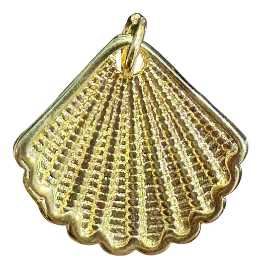 Open Shell