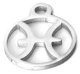 Pisces Charm